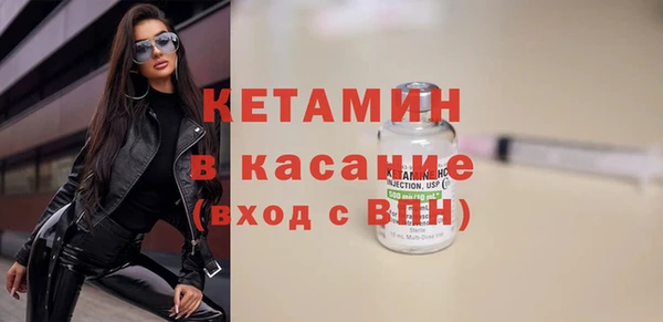 сатива Снежногорск