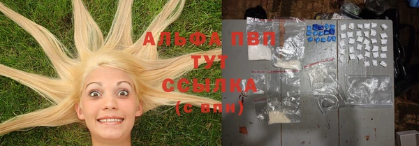 мяу мяу мука Арсеньев